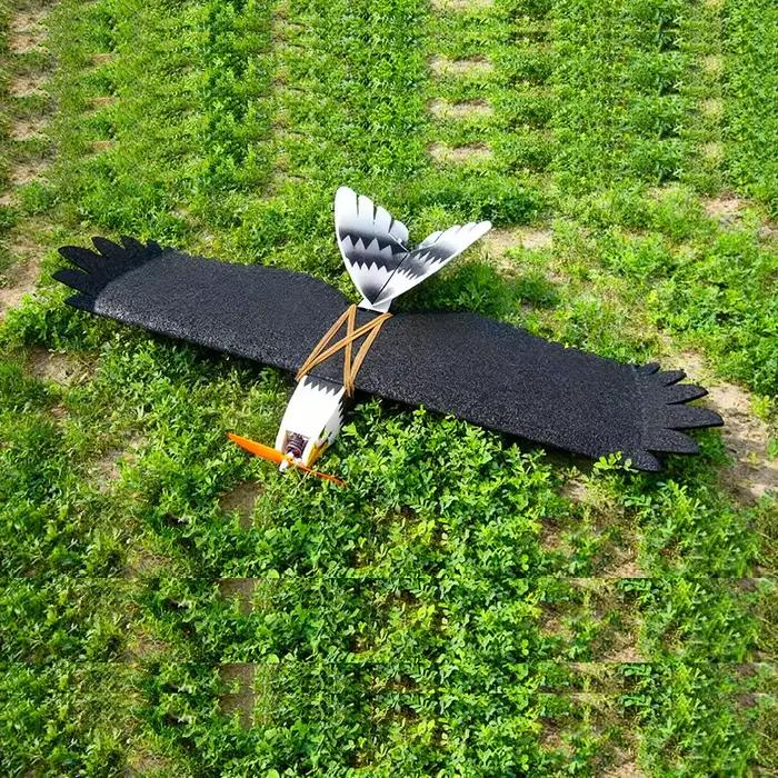 Avion RC Eagle - 4CH avec modèle d'avion en mousse EPP Aileron pour les amateurs de télécommande