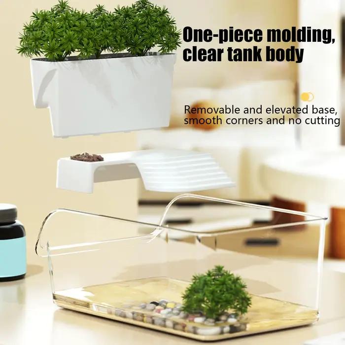 Petit Terrarium professionnel Transparent pour tortues, réservoir d'élevage de reptiles, boîte de repos pour insectes, araignées, tortues, lézards, boîtier pour animaux de compagnie