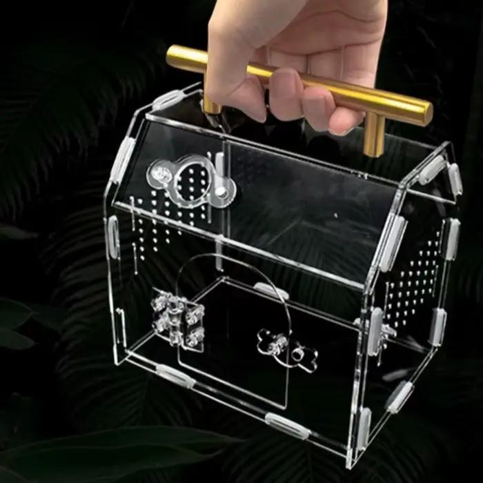Terrarium pour Reptiles en acrylique, Portable, petite boîte d'élevage pour Reptiles, araignée, tortue, escargot, Cage pour animaux de compagnie