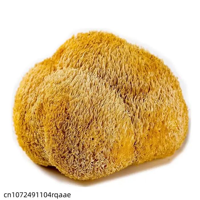 Champignons de crinière de lion séchés de qualité supérieure, 5-8 cm |   Champignons Hericium Erinaceus Naturels pour la Fabrication de Savons de Beauté et la Décoration de Mariage et de Maison
