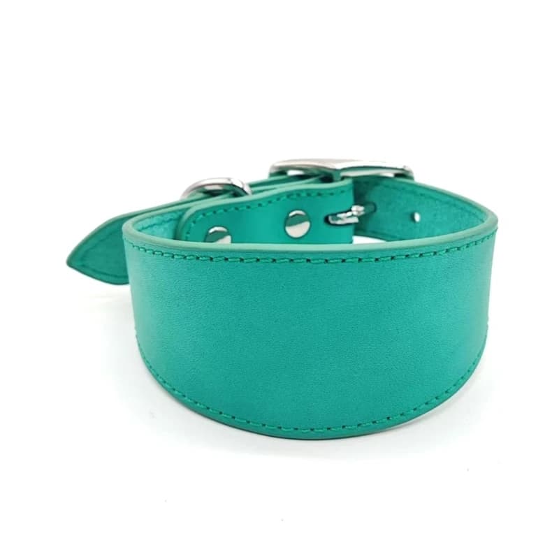 Collier en cuir pour chiens de grande race, collier de rembourrage doux pour chiot, fournitures pour