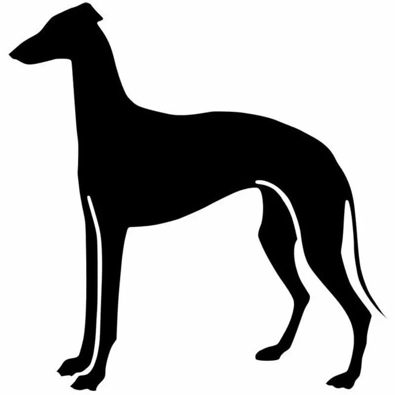 Greyhund – autocollants pour accessoires de voiture, 15cm, mignon, décoration élégante, en PVC, pièc