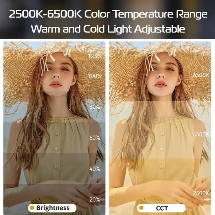 Ulanzi L023 40W Pro lumière vidéo LED Portable bicolore COB lumière de Studio photographique 2500K-6