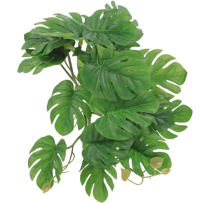 Plantes de Reptile pour Terrarium, plantes d'aménagement paysager, décoration de réservoir de Reptil