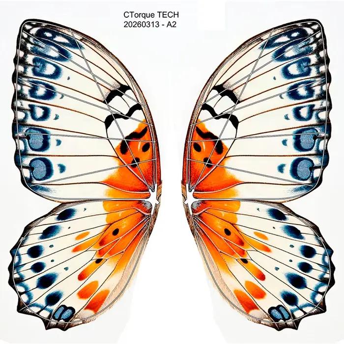Drone papillon bionique RC Ctorque – Jouet insecte volant à ailes battantes avec lumière LED, simula