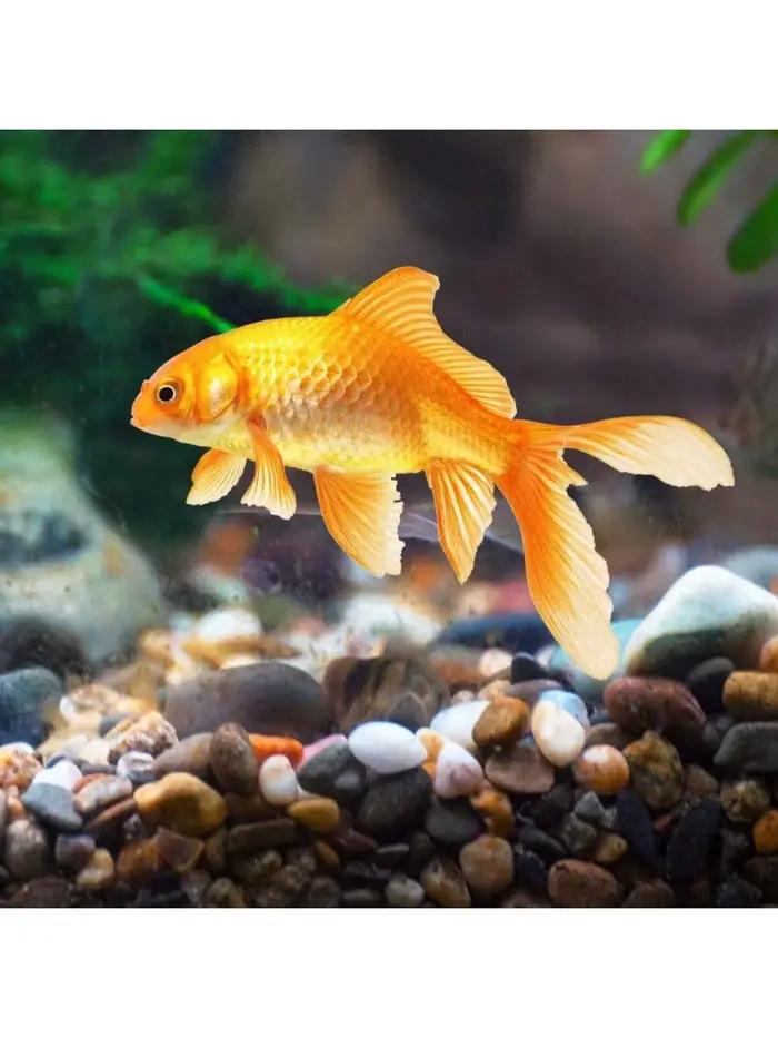 Pierres de roches de rivière décoratives naturelles, galets de couleurs mélangées, gravier d'aquarium, petites roches de jardin, couverture de sol pour Aquariums, aménagement paysager