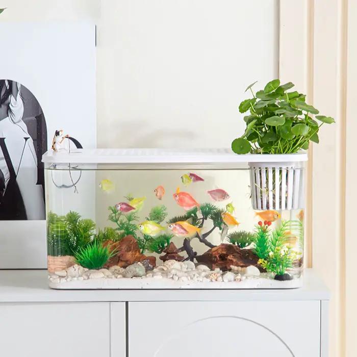 Terrarium pour reptiles, réservoir d'élevage à vue claire, Cage d'habitat, petit aquarium, boîte d'alimentation pour poissons Betta, écrevisses, serpent, caméléon