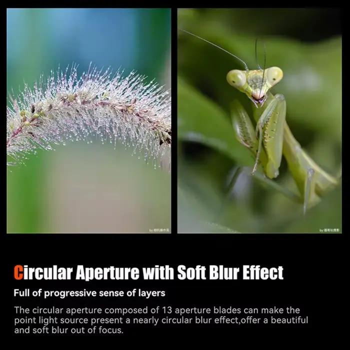 Objectif Macro plein cadre 120mm F2.8