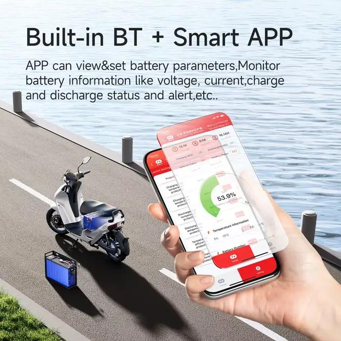 Daly Smart BMS 4S 6S 8S 12S 13S 14S 16S 17S 20S 24S Bluetooth BMS 30A 40A 60A 80A 100A 120A 150A 200A Lifepo4 Li-Ion LTO batterie