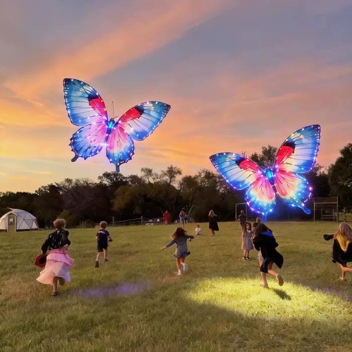 Drone papillon bionique RC Ctorque – Jouet insecte volant à ailes battantes avec lumière LED