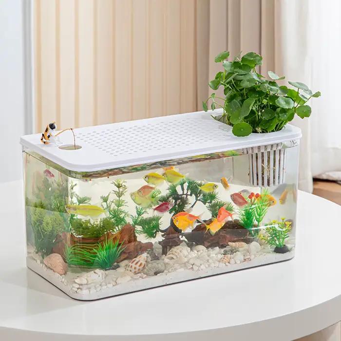 Terrarium pour reptiles, réservoir d'élevage à vue claire, Cage d'habitat, petit aquarium, boîte d'alimentation pour poissons Betta, écrevisses, serpent, caméléon