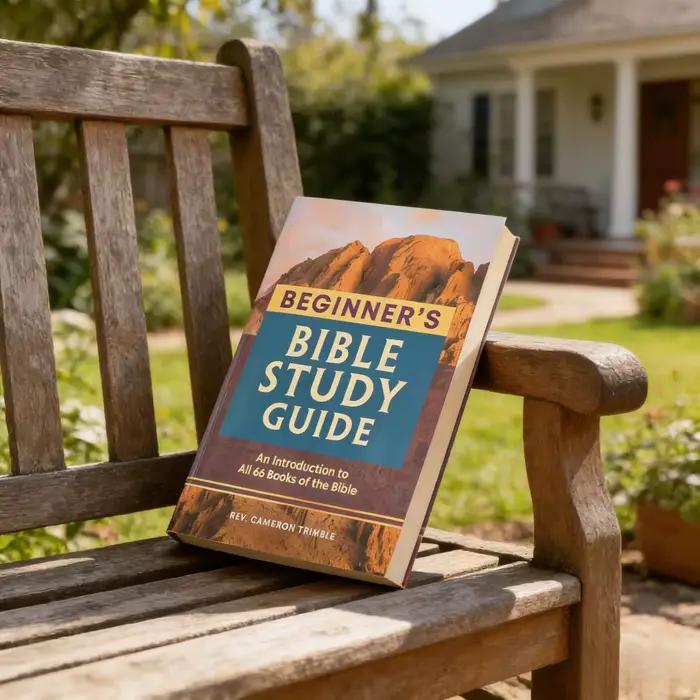 Guide d'étude biblique pour débutants, livre broché en anglais, apprentissage de la Bible pour nouveaux croyants, livre sur la foi chrétienne et les Écritures