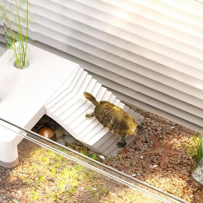 Terrarium transparent pour reptiles avec zone de basking pour tortues, crabes ermites, tortues de mer - Habitat d'adoption pour tortues