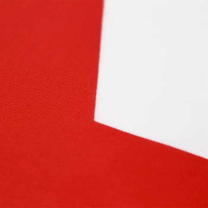 Drapeau national algérien 90x150cm Polyester pour défilés/bureau/décor extérieur - Anti-décoloration, couleurs vives, coutures renforcées