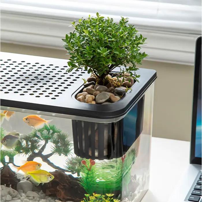 Terrarium pour reptiles, réservoir d'élevage à vue claire, Cage d'habitat, petit aquarium, boîte d'alimentation pour poissons Betta, écrevisses, serpent, caméléon