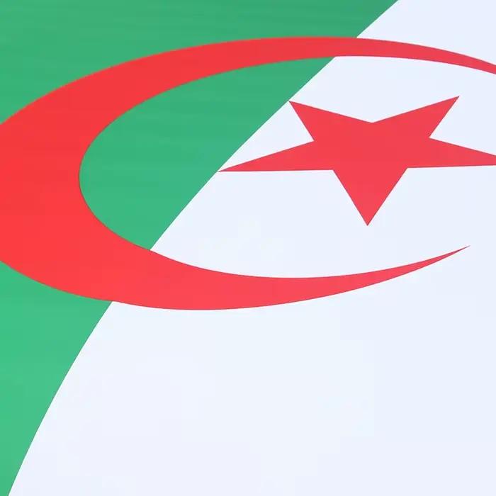 Housse de moteur de voiture avec drapeau national algérien, pour décoration, en tissu élastique, bannière graphique complète pour camion