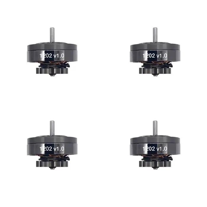 Nouveau Drone FPV NewBeeDrone LionBee avec Moteur Brushless 1202