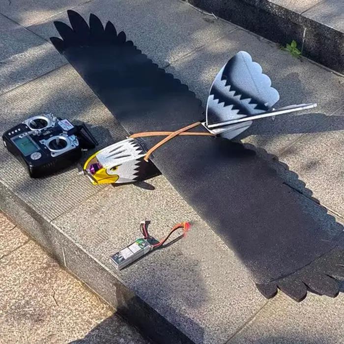 Avion RC Eagle - 4CH avec modèle d'avion en mousse EPP Aileron pour les amateurs de télécommande